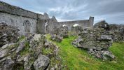 PICTURES/Askeaton Village - Desmond Castle & Franciscan Friary/t_G Phone (17).jpg
